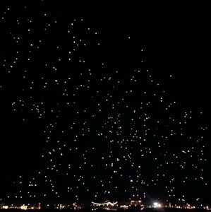 Meet your Posher, Ty